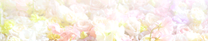 横浜 TeTe（テテ）